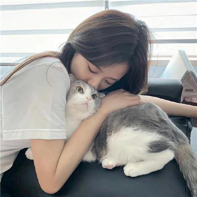 美女与盗贼