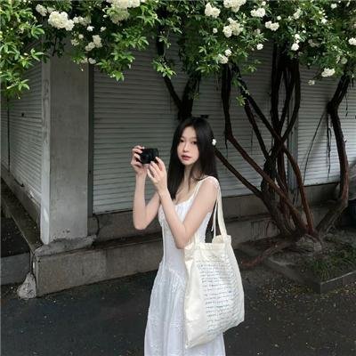 森林：随处可见