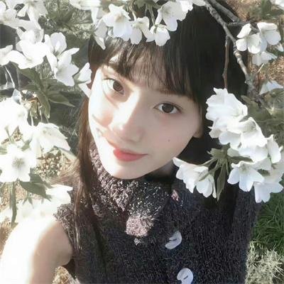 旋转家族